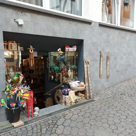 게스트하우스 Winnemuller 3*